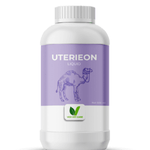 UTERIEON LIQUID (Camel)